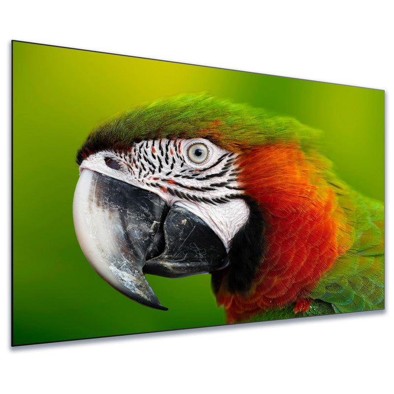 FORMOVIE - 100" -120''Lenticular Ambient Light Rejection (ALR) Fixed Frame Ultra Short Throw (UST) Projector Screen,4K/8K Active 3D